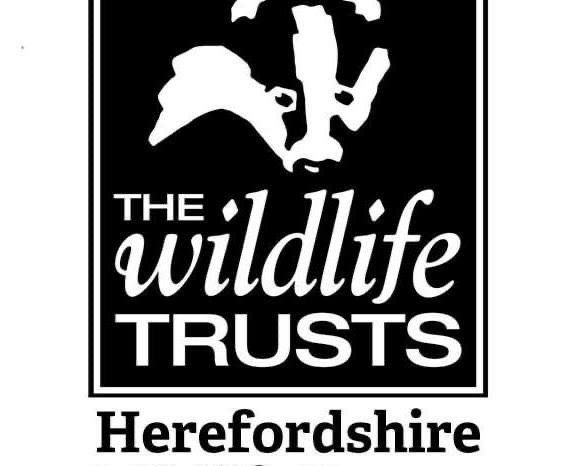 Herefordshire Wildlife Trust benefits £23,645 from waste packaging offence by Ross based firm