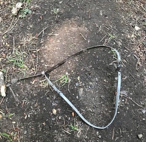 Warning after man-made trap found in Forest of Dean