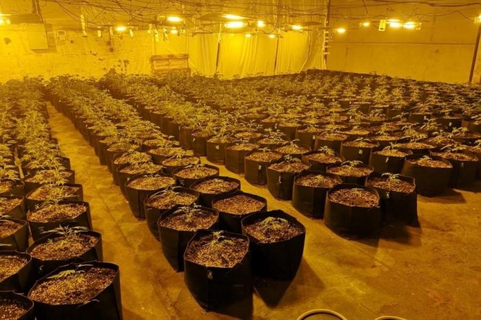 Large ‘cannabis grow’ found at industrial unit in Lydney