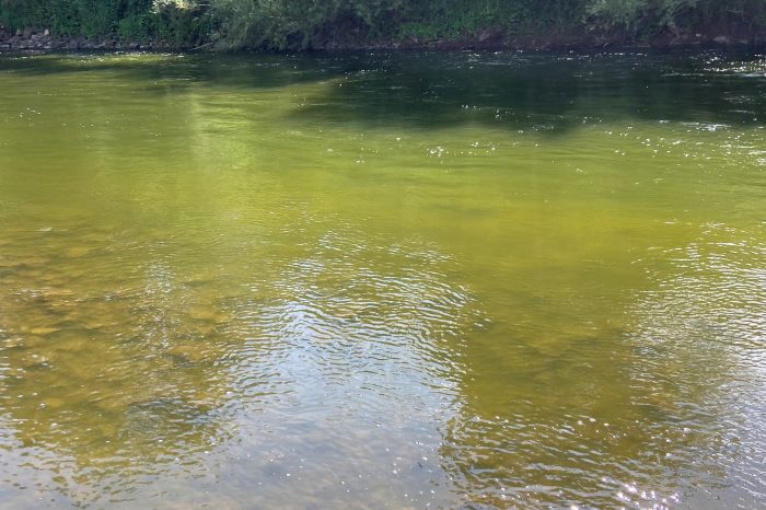 Ross Anglers welcome latest Environment Agency action on River Wye pollution crisis