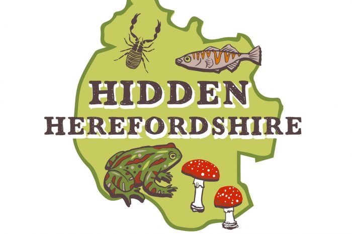New website helps people in Herefordshire connect with nature