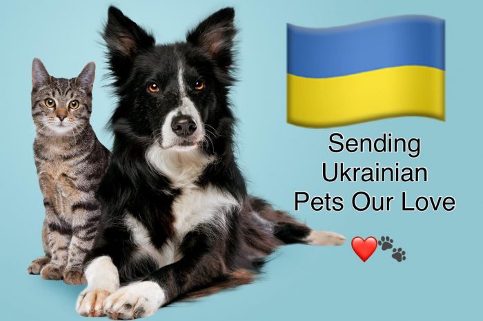 Ross-on-Wye pet shop collecting donations for the pets of Ukraine